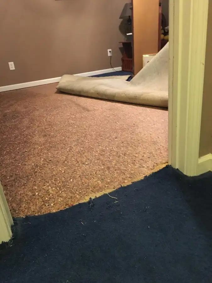 Carpet pad removal revealing water damage during Drying & Dehumidification in Joppatowne
