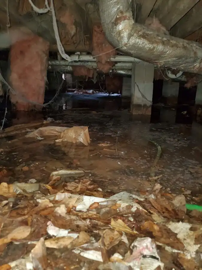 Crawl space flood assessment for Commercial Water Damage Restoration in Joppatowne