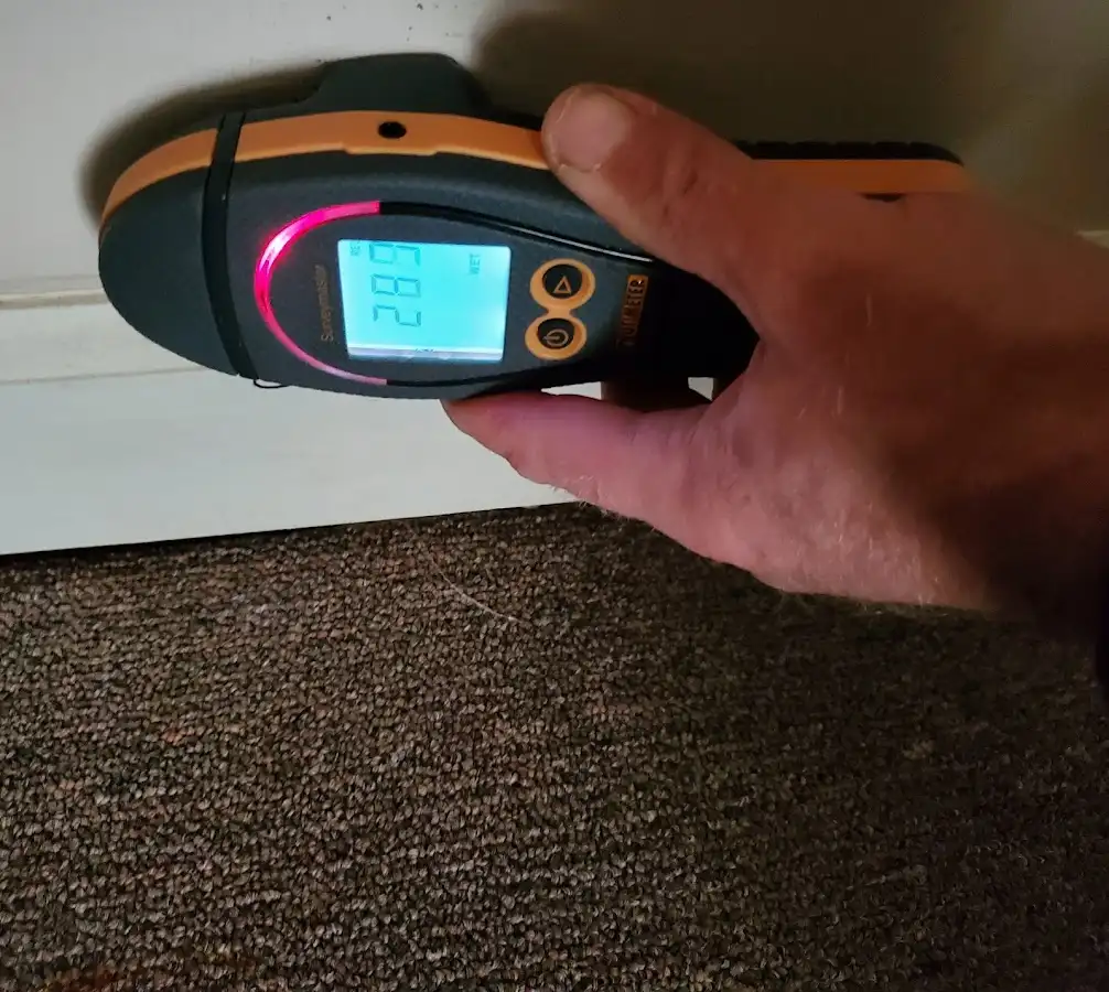 Moisture detection at baseboard during Sewage Cleanup & Sanitation in Joppatowne
