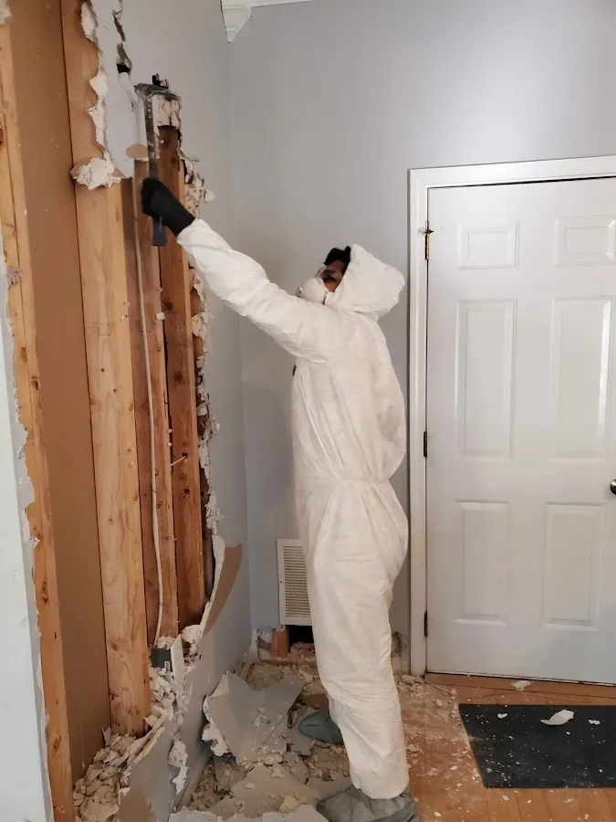 Mold Remediation & Removal in Joppatowne, MD